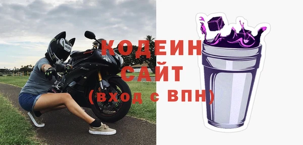 прущие грибы Ельня
