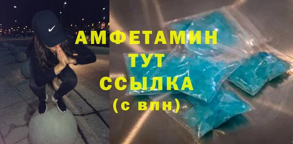 прущие грибы Ельня