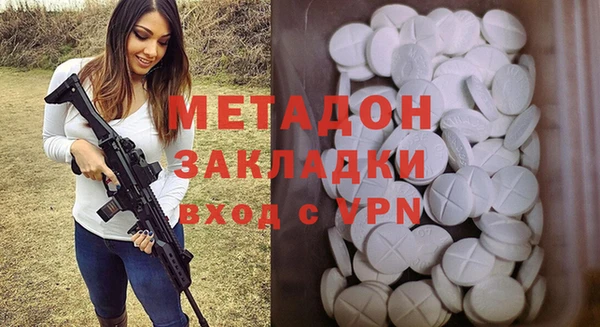 прущие грибы Ельня
