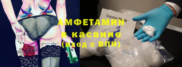 прущие грибы Ельня