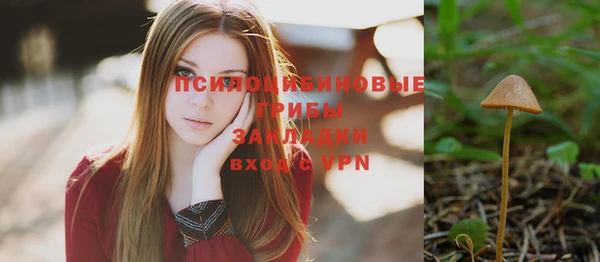 прущие грибы Ельня