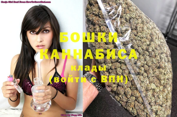 прущие грибы Ельня