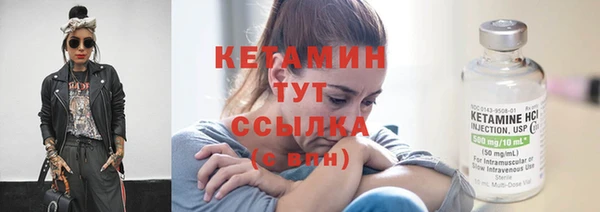прущие грибы Ельня