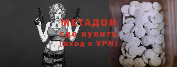 прущие грибы Ельня
