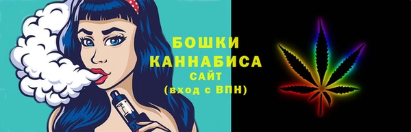 прущие грибы Ельня