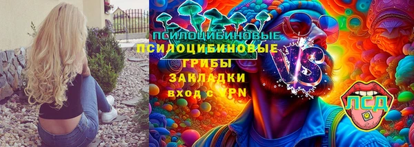амф Елизово