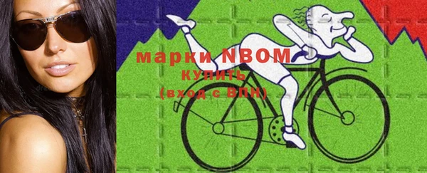 прущие грибы Ельня