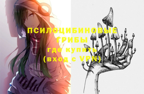 амф Елизово