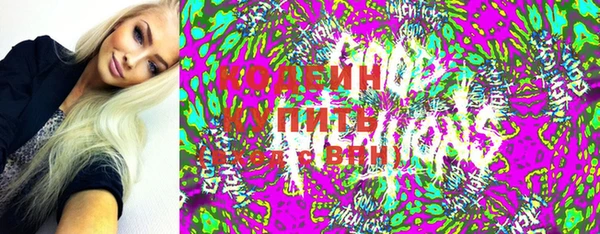 амф Елизово