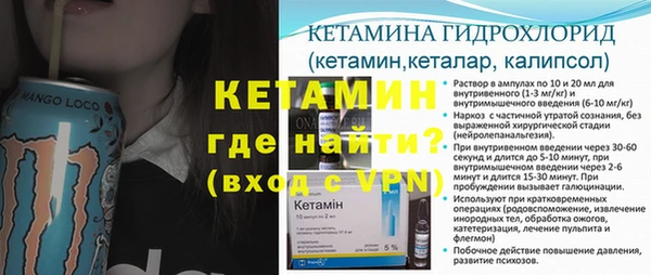 прущие грибы Ельня
