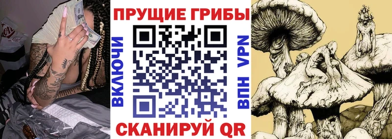 Купить Шумиха Галлюциногенные грибы прущие грибы